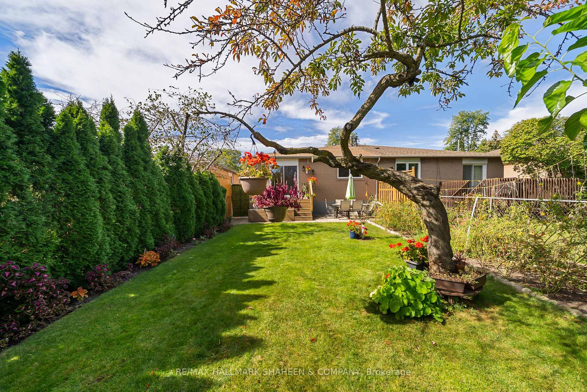 Photo 44 of 44 Elise Terrace, North York, Newtonbrook West — HOMEH
