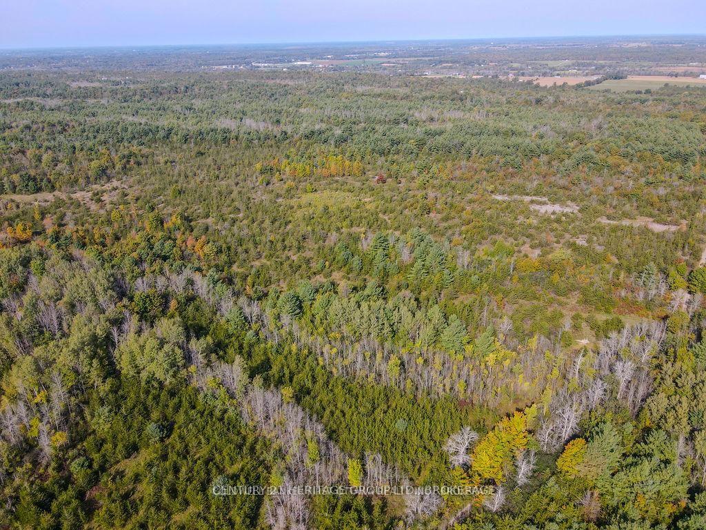 Photo 3 of PT LT G Concession Gore, Loyalist, Lennox and Addington - South — HOMEH