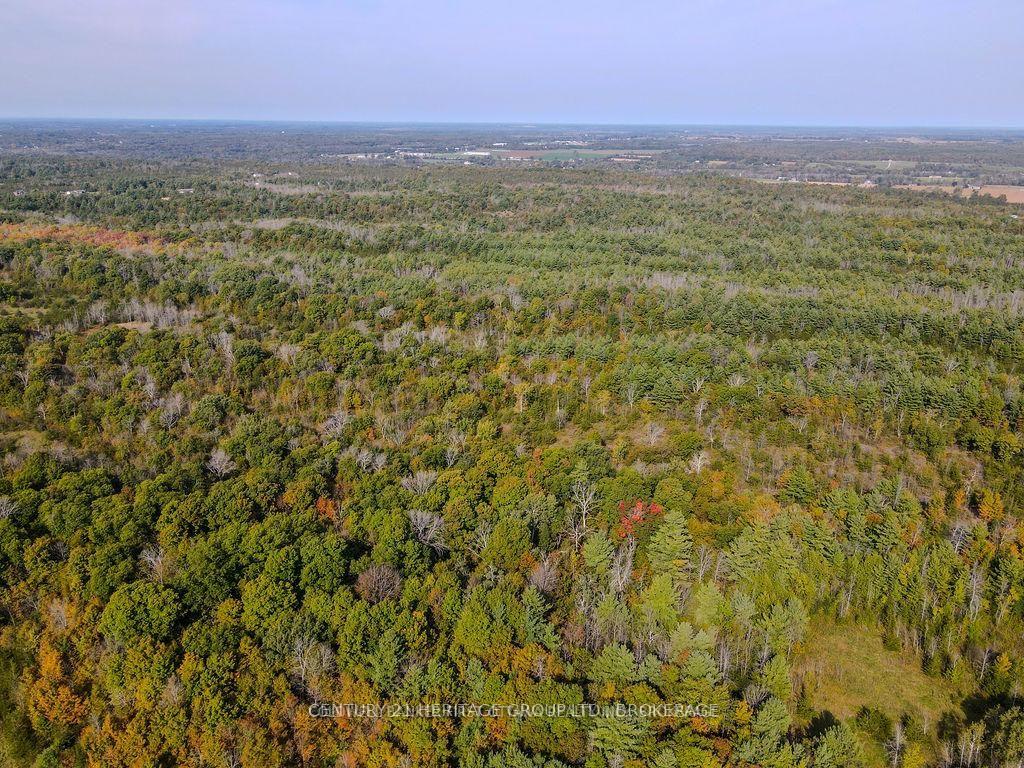 Photo 5 of PT LT G Concession Gore, Loyalist, Lennox and Addington - South — HOMEH