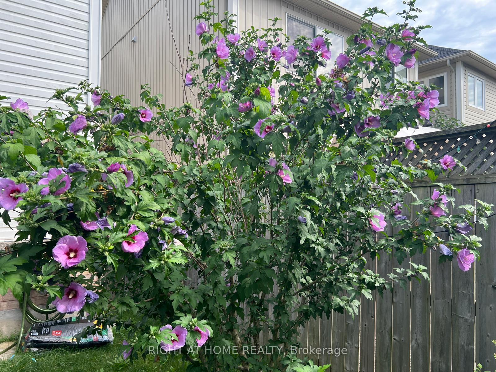 Photo 41 of 39 Golden Iris Crescent, Hamilton, Waterdown — HOMEH
