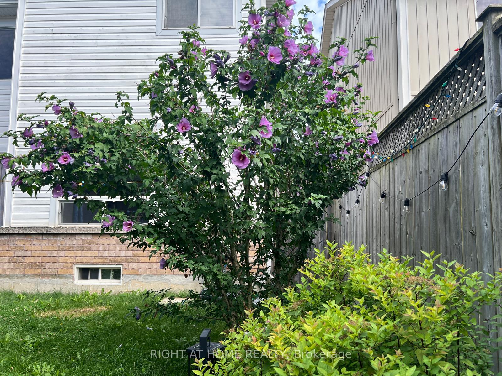 Photo 42 of 39 Golden Iris Crescent, Hamilton, Waterdown — HOMEH