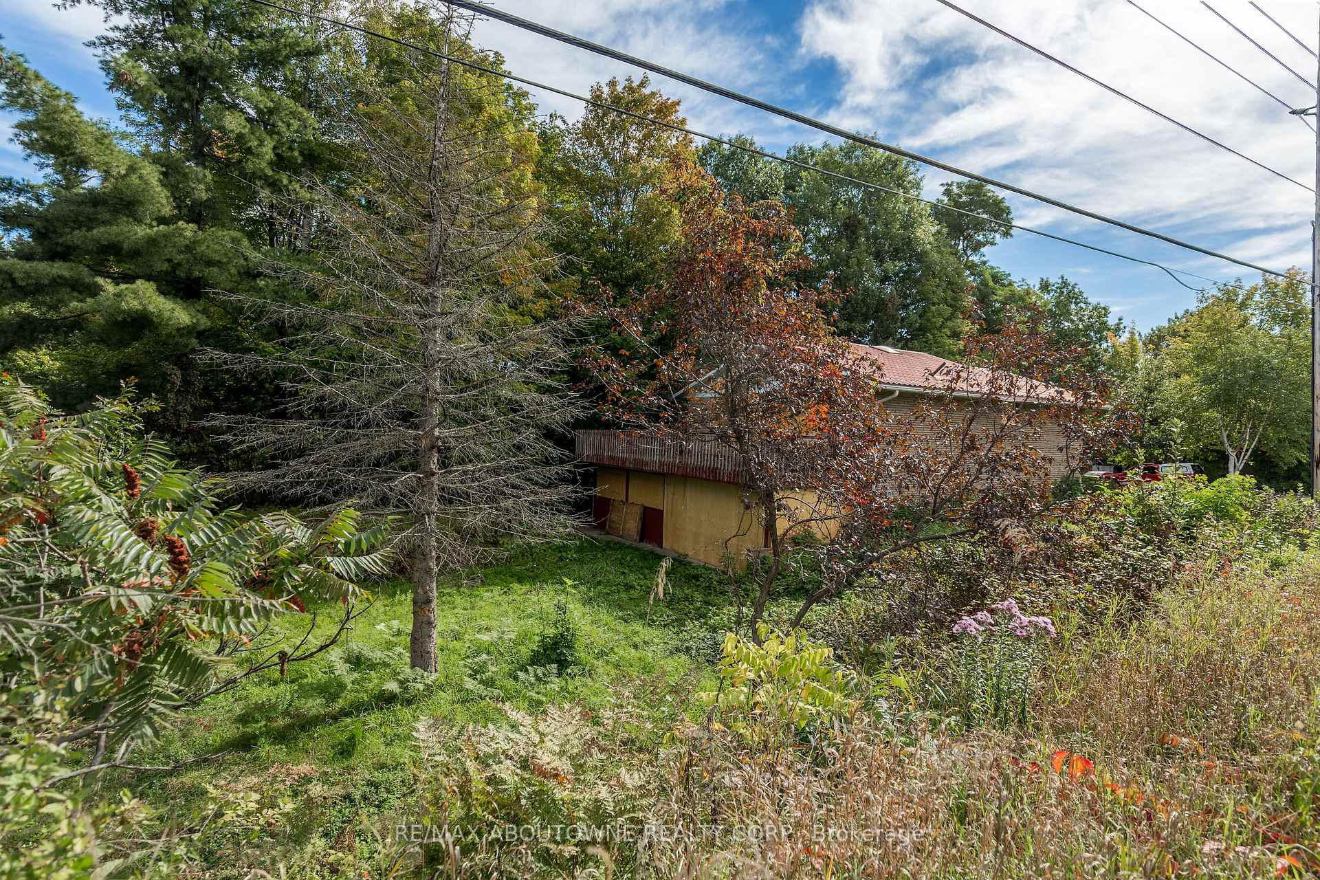 Photo 11 of 310 & 360 Moody Drive, Gravenhurst, Muskoka (S) — HOMEH