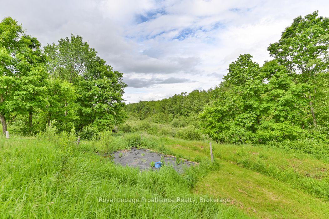 Photo 27 of 369 5th Concession Rd S, Addington Highlands, Addington Highlands — HOMEH