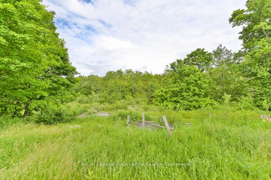 Photo 28 of 369 5th Concession Rd S, Addington Highlands, Addington Highlands — HOMEH