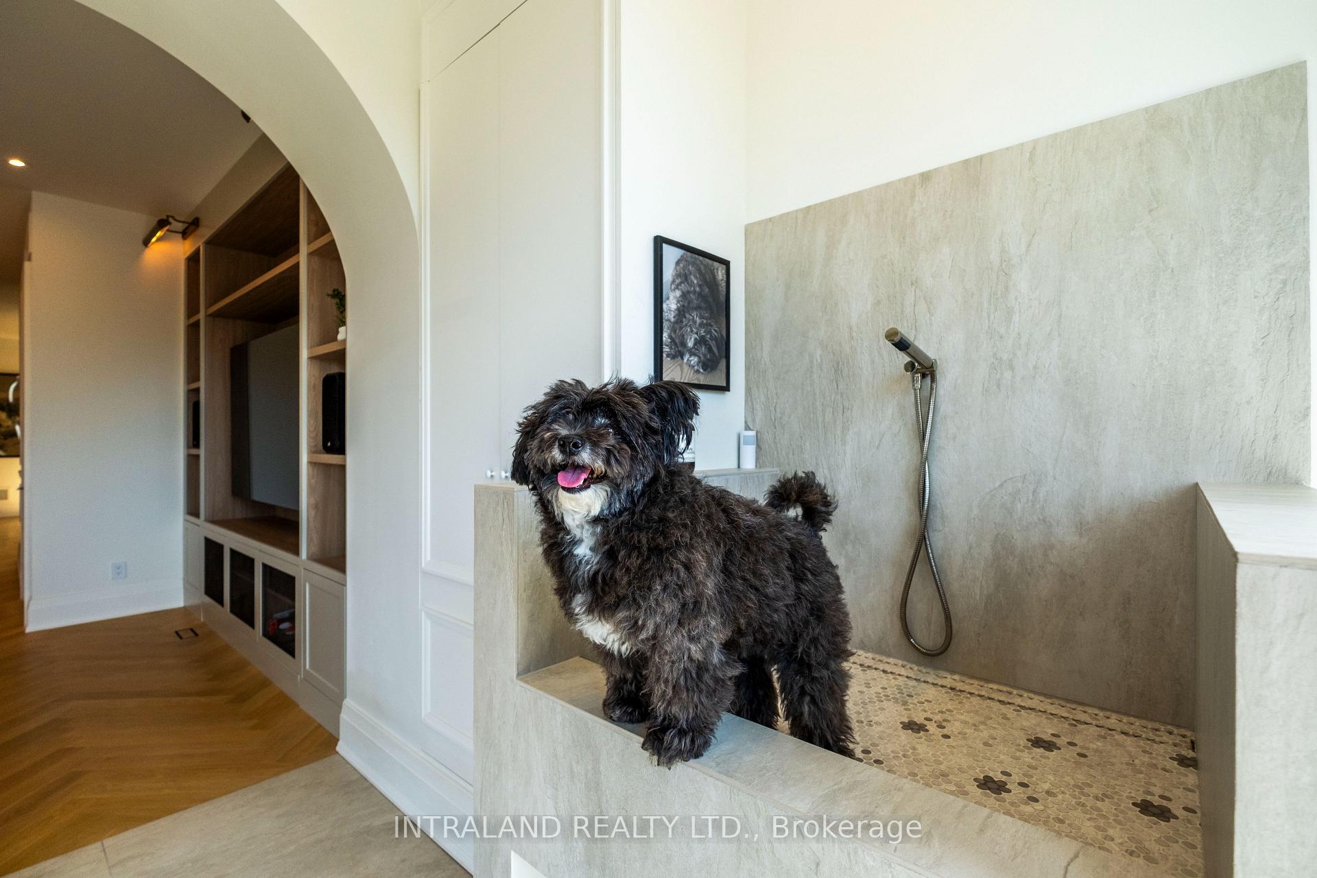 Photo 12 of 39 Chandos Avenue, Toronto, Dovercourt-Wallace Emerson-Junction — HOMEH