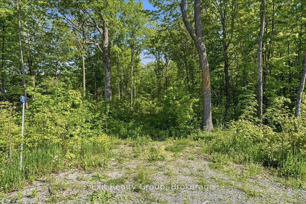 Photo 3 of 75 Spry Road, Stirling-Rawdon, Rawdon Ward — HOMEH