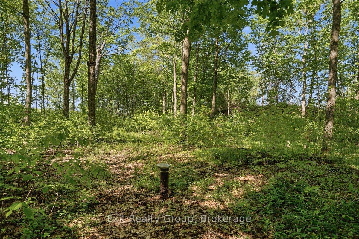 Photo 4 of 75 Spry Road, Stirling-Rawdon, Rawdon Ward — HOMEH