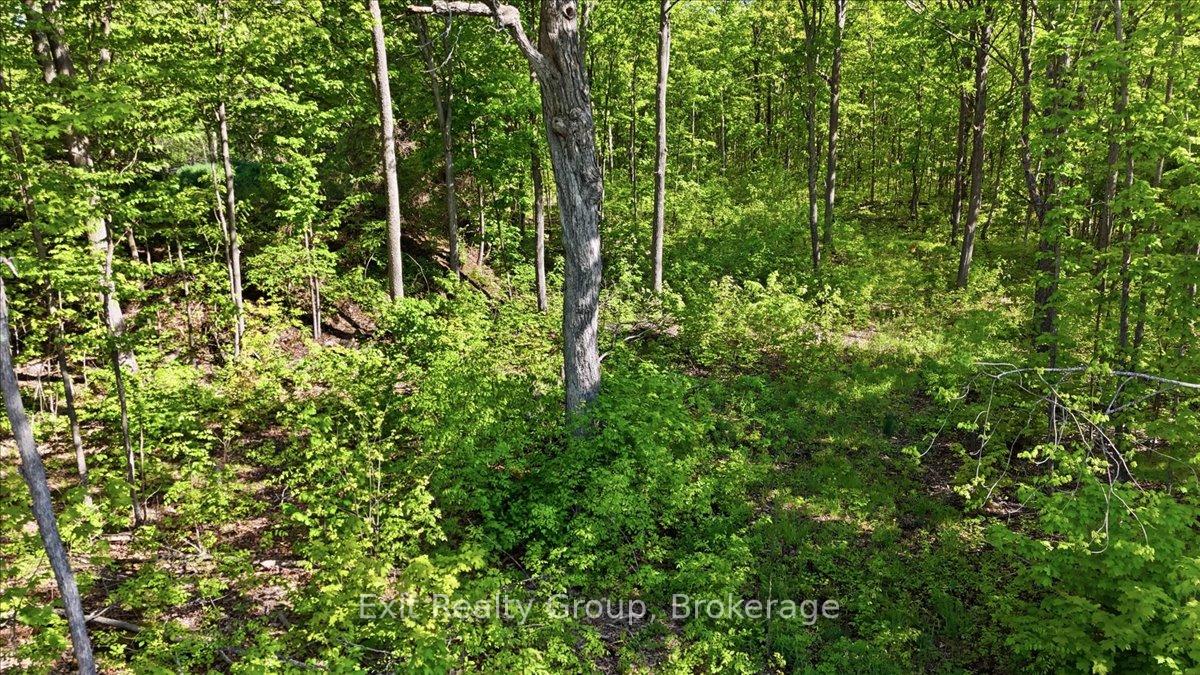 Photo 6 of 75 Spry Road, Stirling-Rawdon, Rawdon Ward — HOMEH