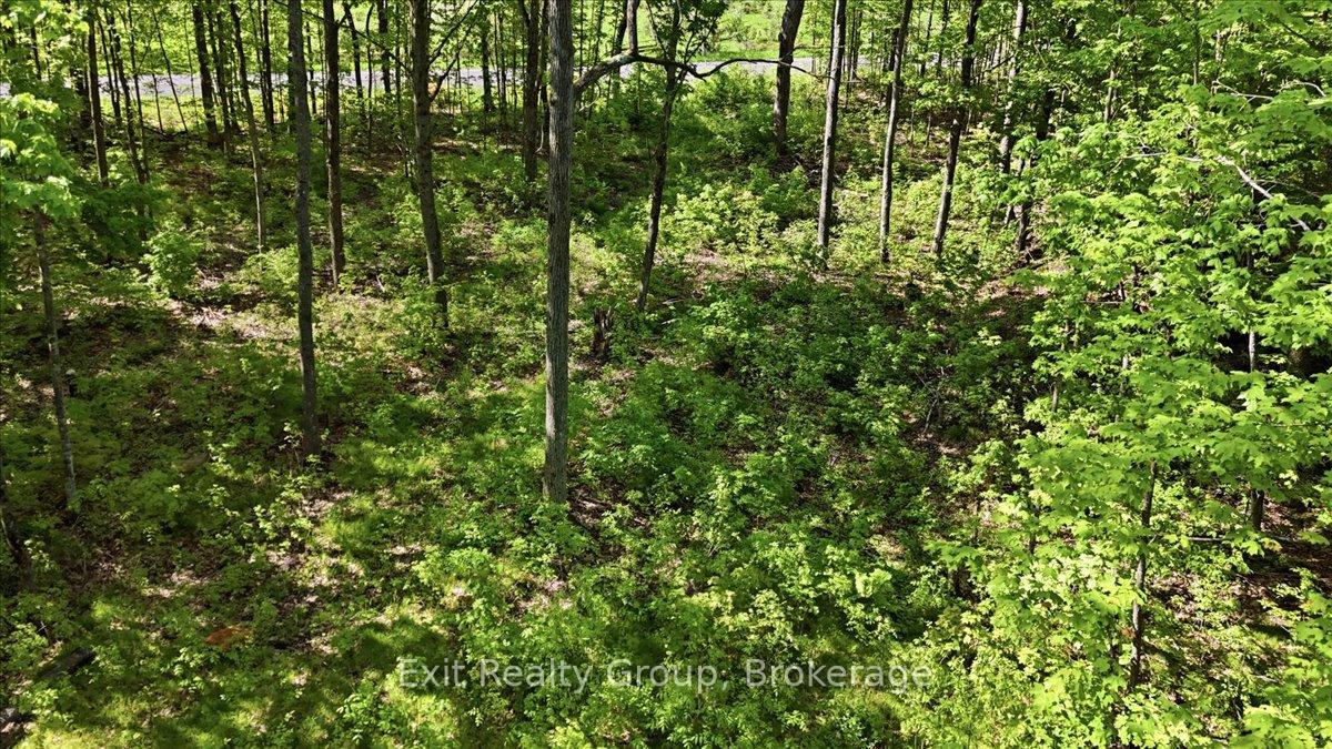 Photo 7 of 75 Spry Road, Stirling-Rawdon, Rawdon Ward — HOMEH