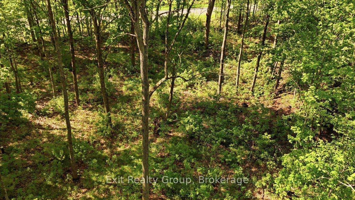Photo 9 of 75 Spry Road, Stirling-Rawdon, Rawdon Ward — HOMEH