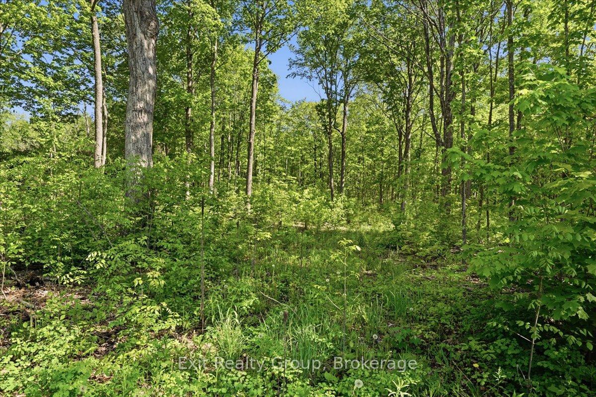 Photo 10 of 75 Spry Road, Stirling-Rawdon, Rawdon Ward — HOMEH
