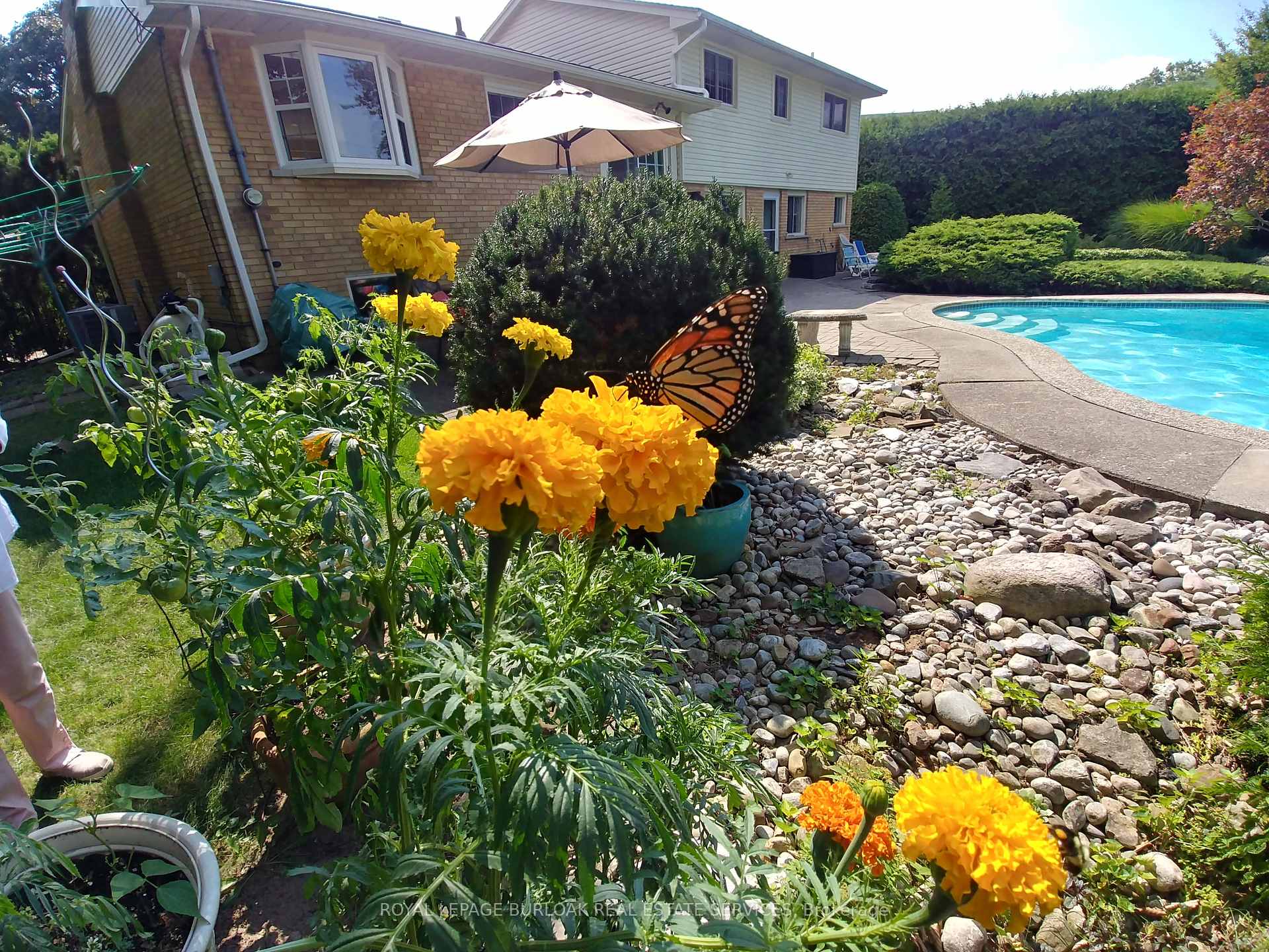 Photo 28 of 247 Walden Drive, Burlington, Roseland — HOMEH