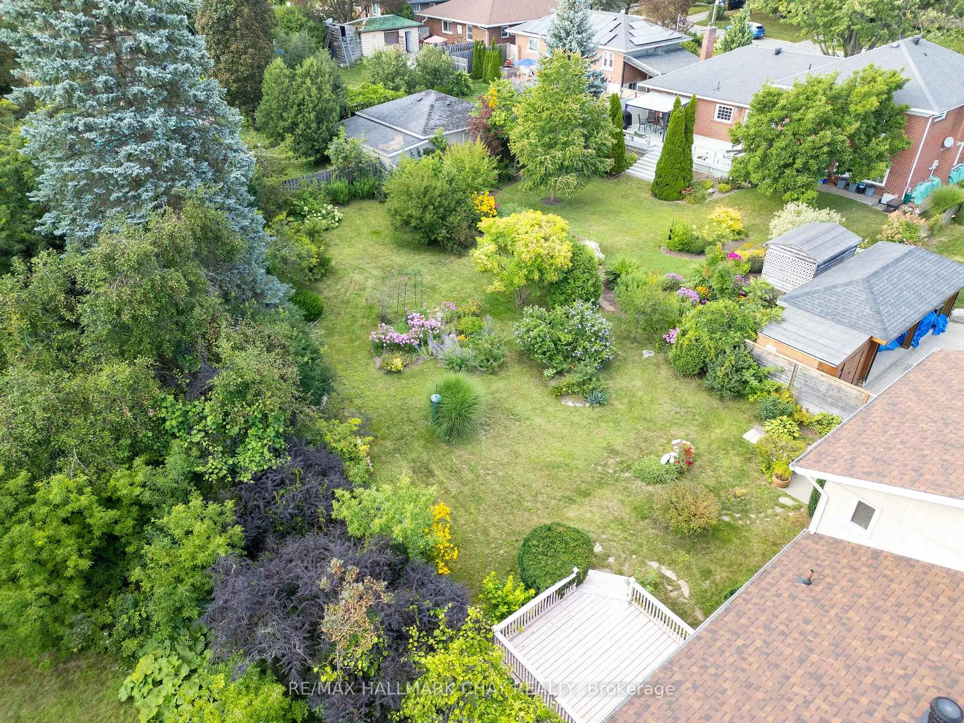 Photo 45 of 44 Amelia Street, Barrie, Codrington — HOMEH