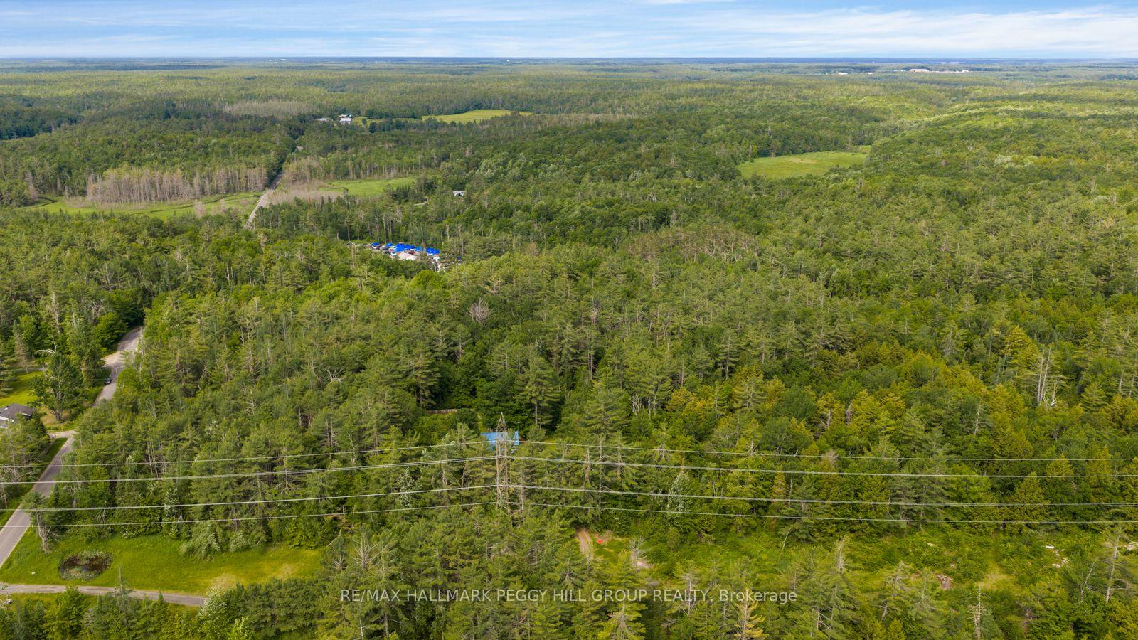 Photo 5 of 00 Germania Road, Bracebridge, Draper — HOMEH