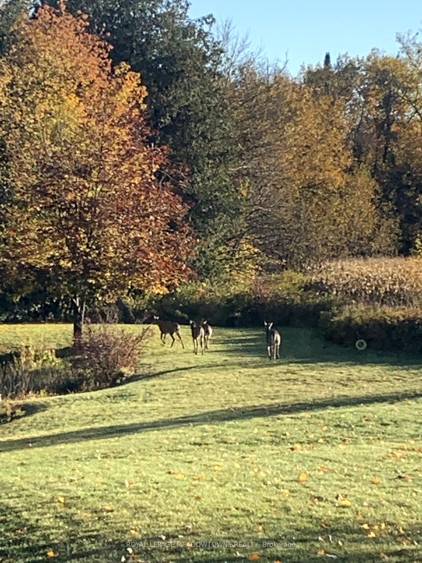 Photo 40 of 8847 Sideroad 27 Road, Erin, Rural Erin — HOMEH
