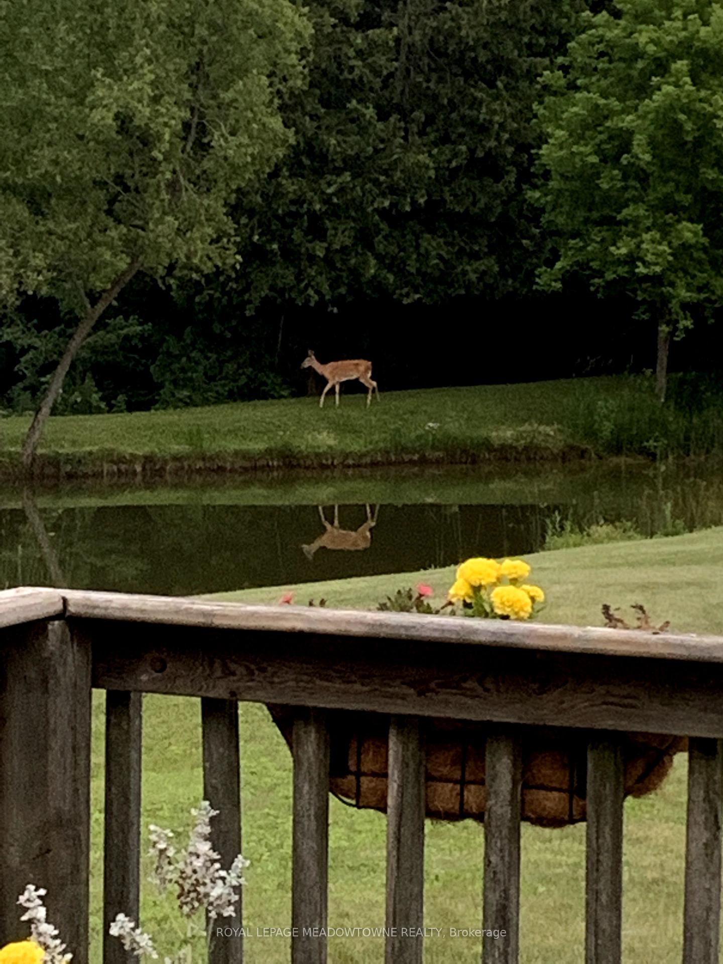 Photo 44 of 8847 Sideroad 27 Road, Erin, Rural Erin — HOMEH