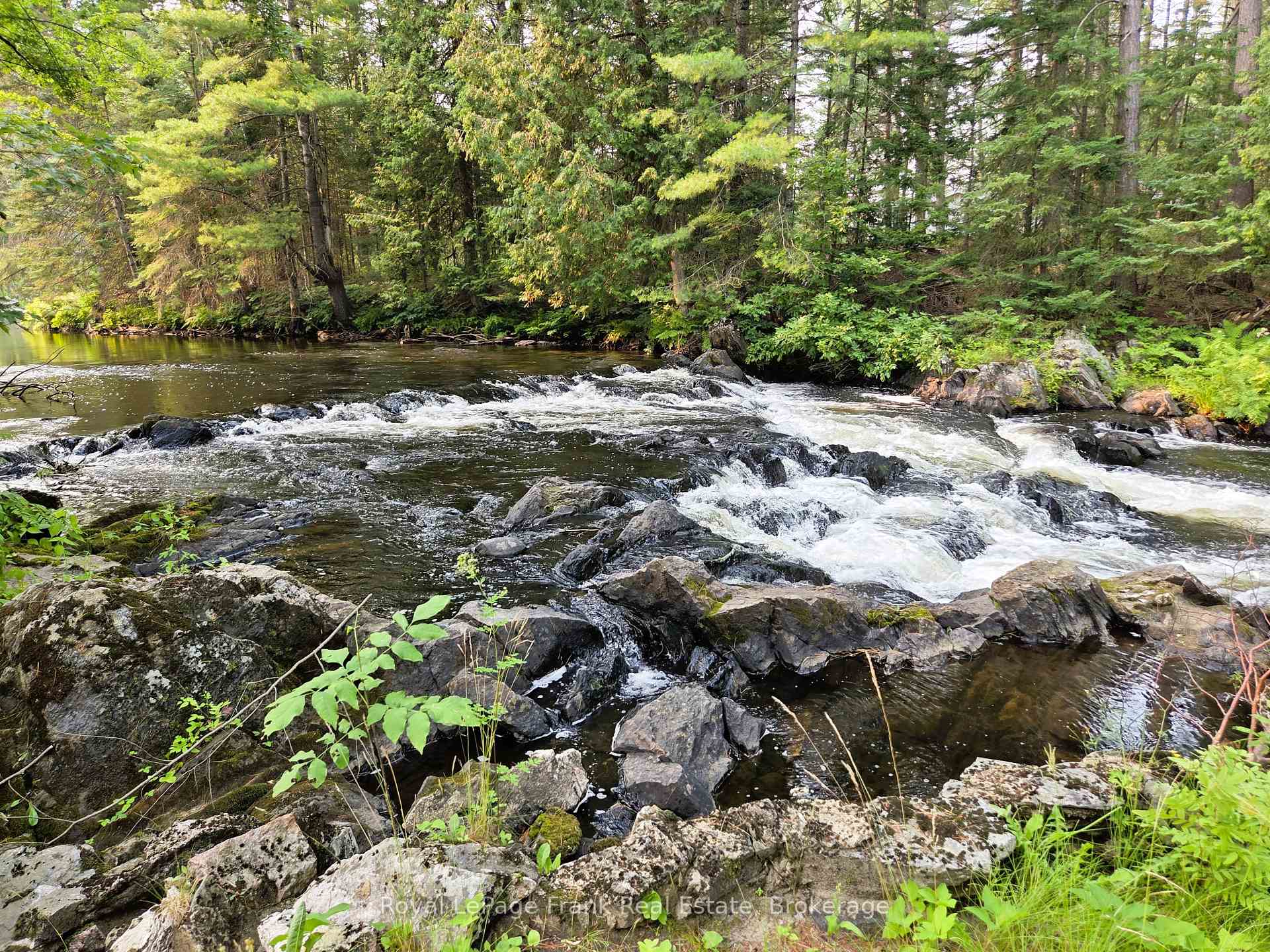 Photo 4 of 8847 Highway 28, North Kawartha — HOMEH