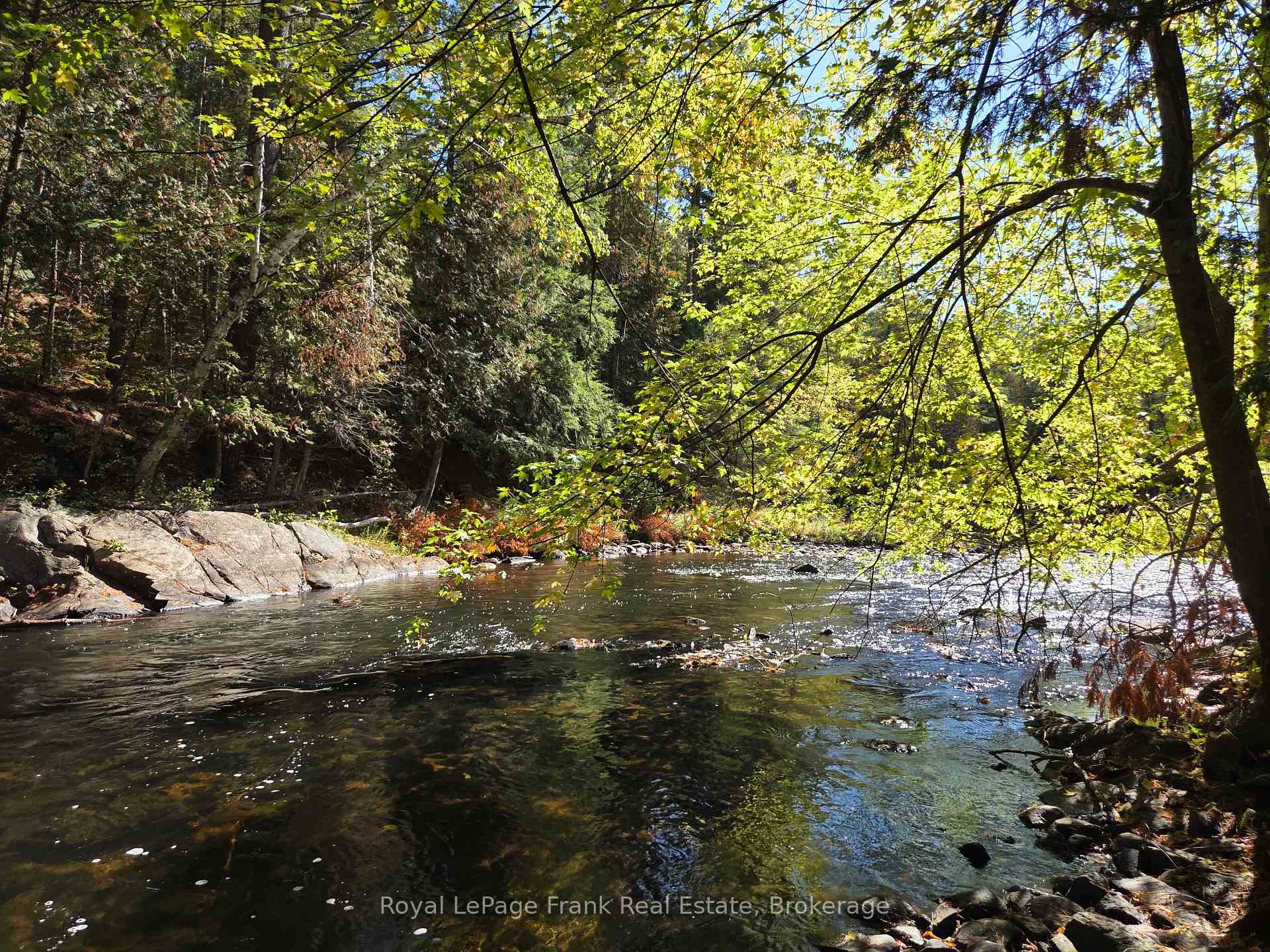 Photo 6 of 8847 Highway 28, North Kawartha — HOMEH