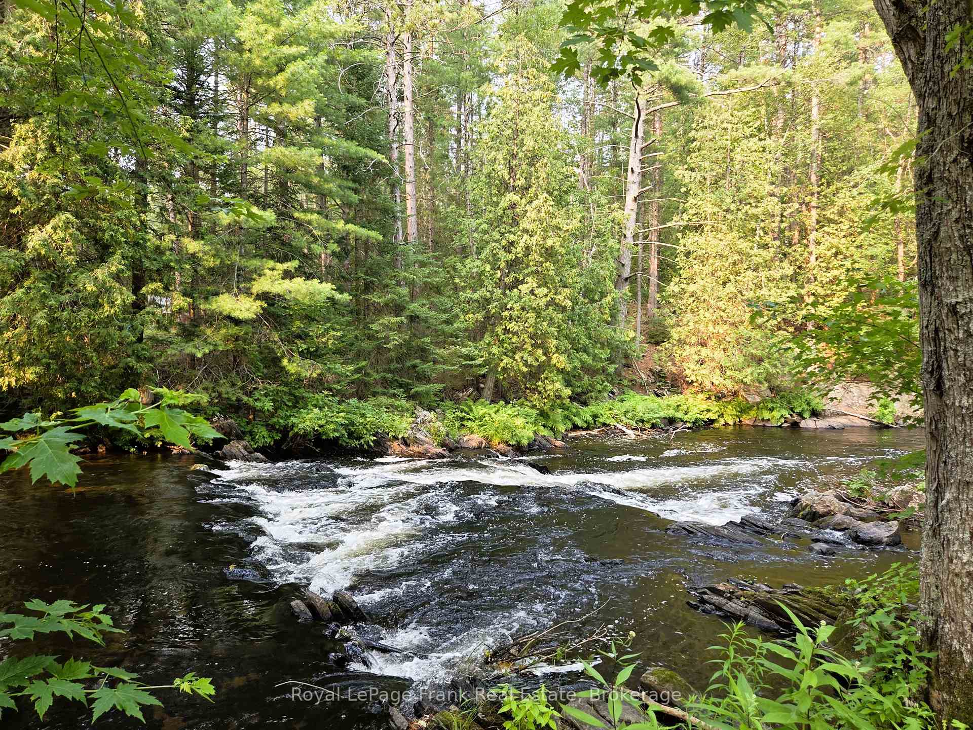 Photo 46 of 8847 Highway 28, North Kawartha — HOMEH