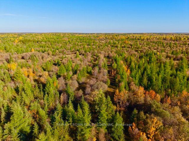 Photo 6 of LT 2 Devitt Township, Mattice-Val Cote — HOMEH