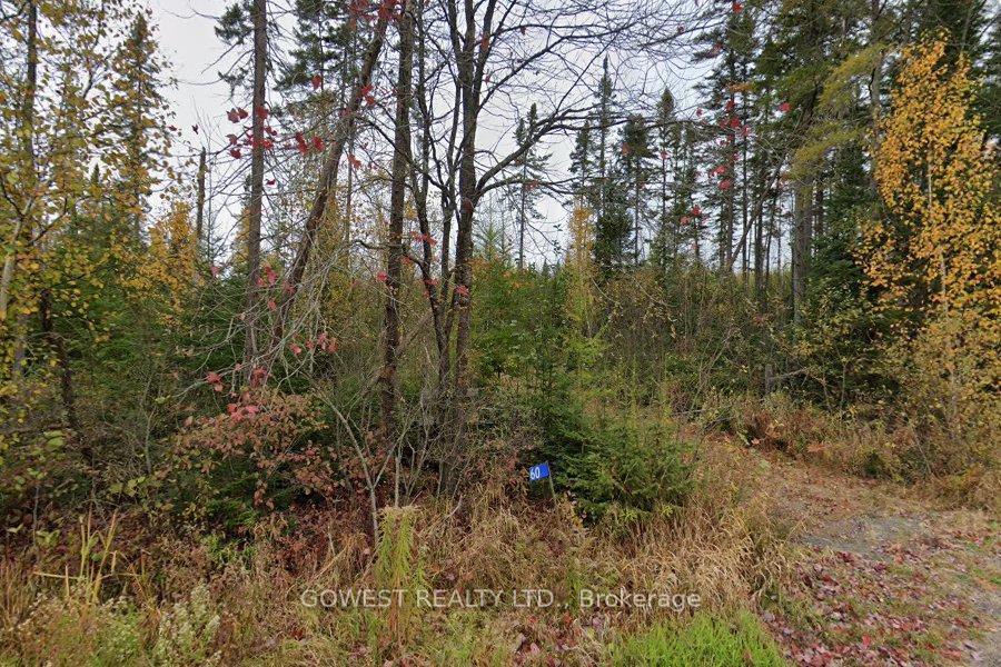 Photo 2 of 60 Stahls Road, Huntsville, Chaffey — HOMEH