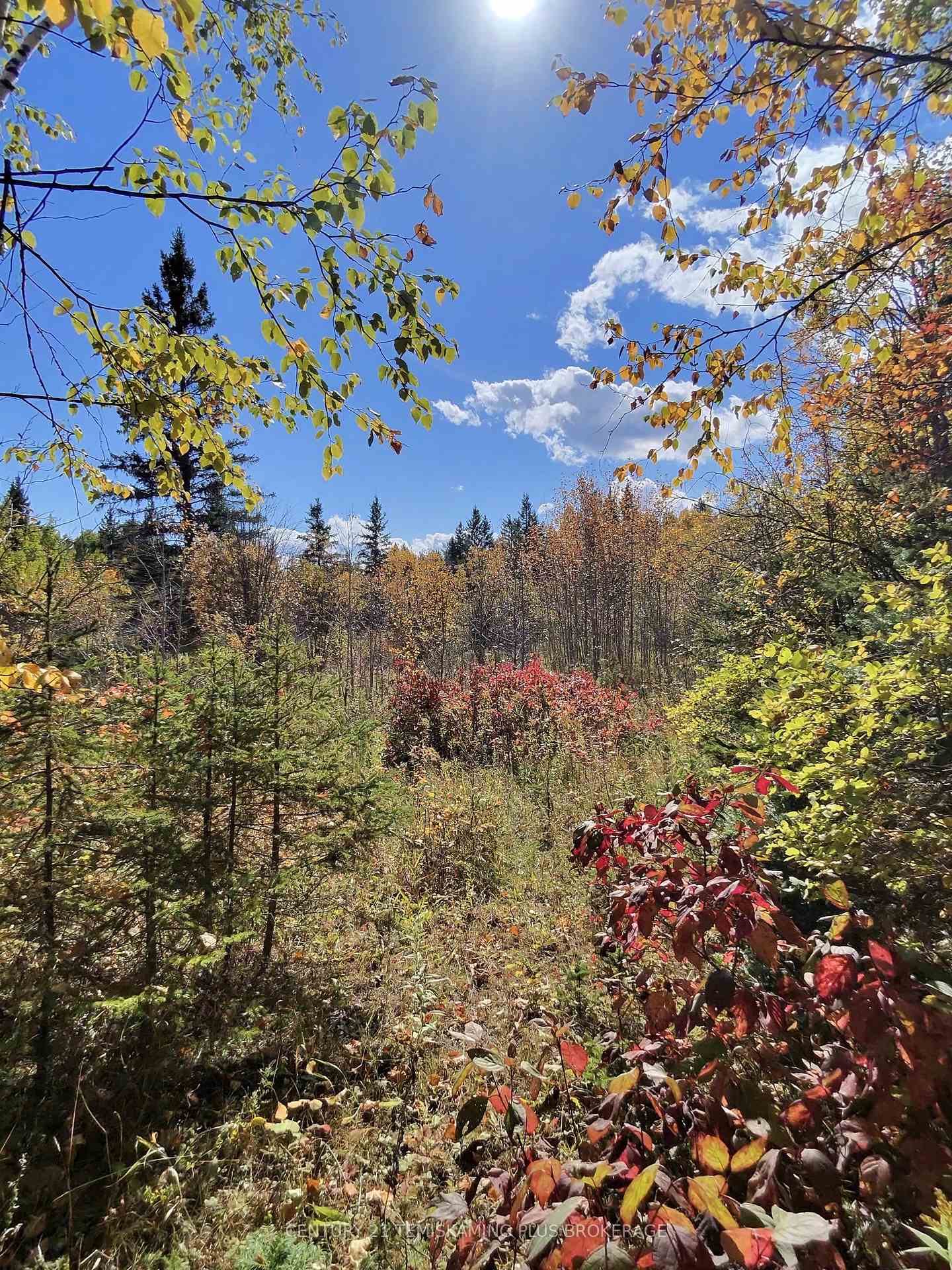 Photo 2 of Wilson Road, Temiskaming Shores, Haileybury — HOMEH
