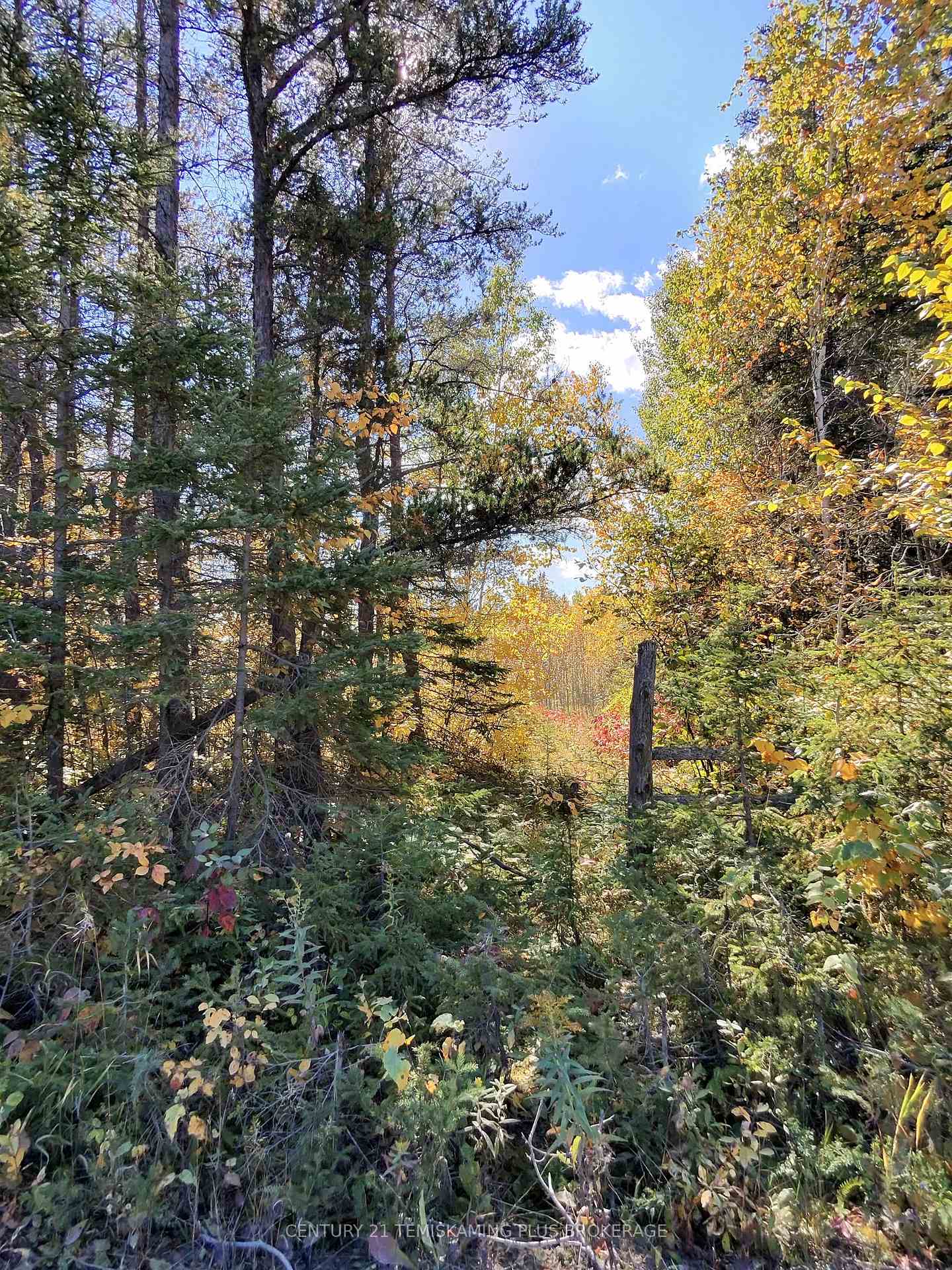 Photo 5 of Wilson Road, Temiskaming Shores, Haileybury — HOMEH