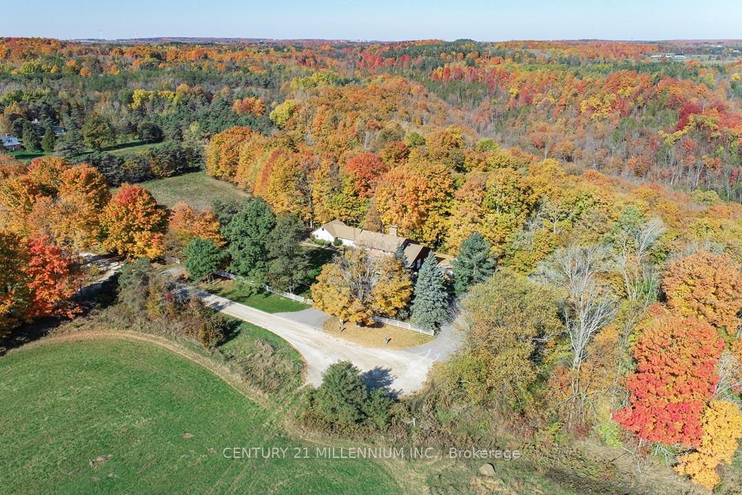 Photo of 287199 10 Sideroad