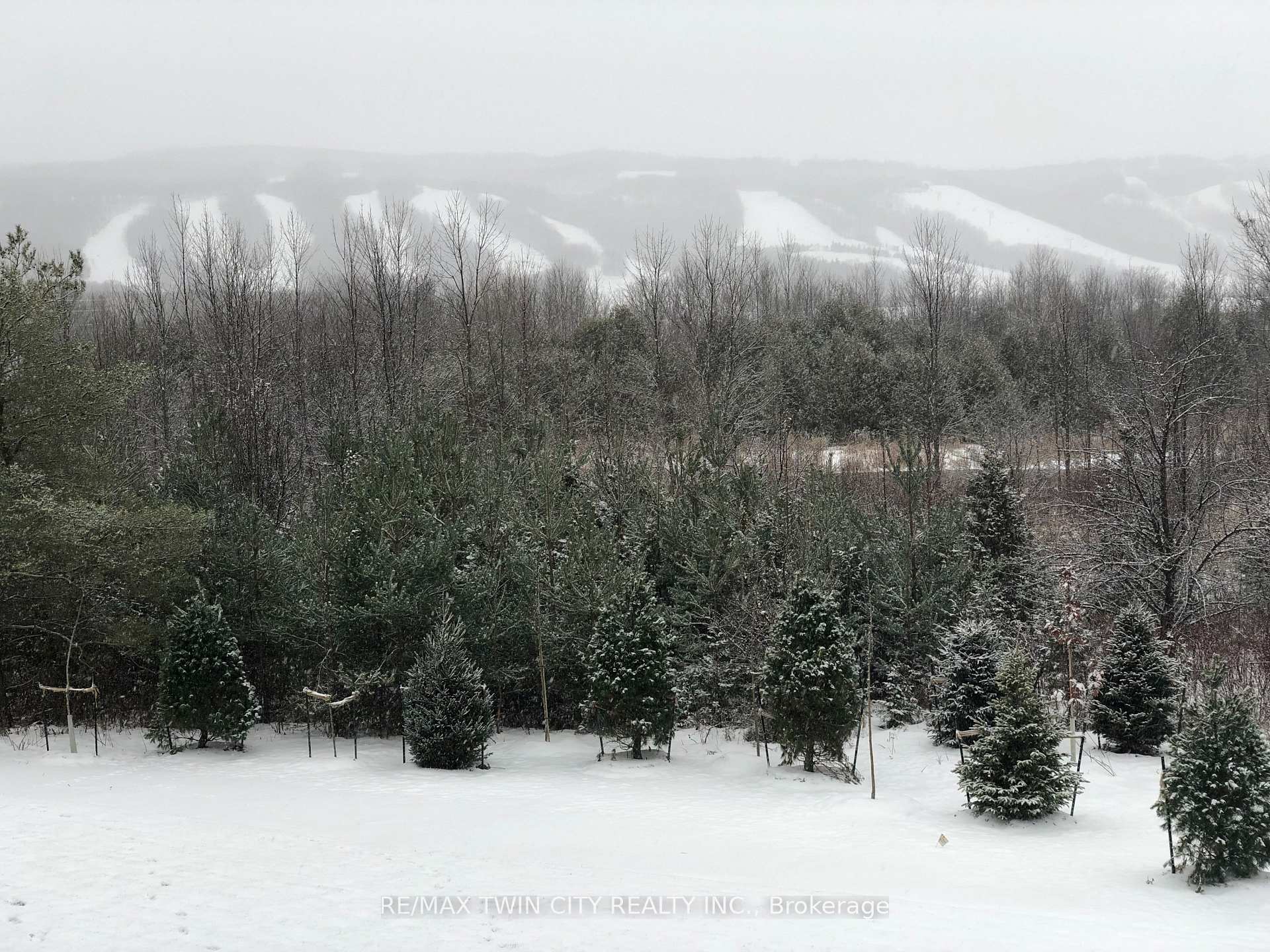 Photo 39 of Unit 206, 12 Beausoleil Lane, Blue Mountains — HOMEH