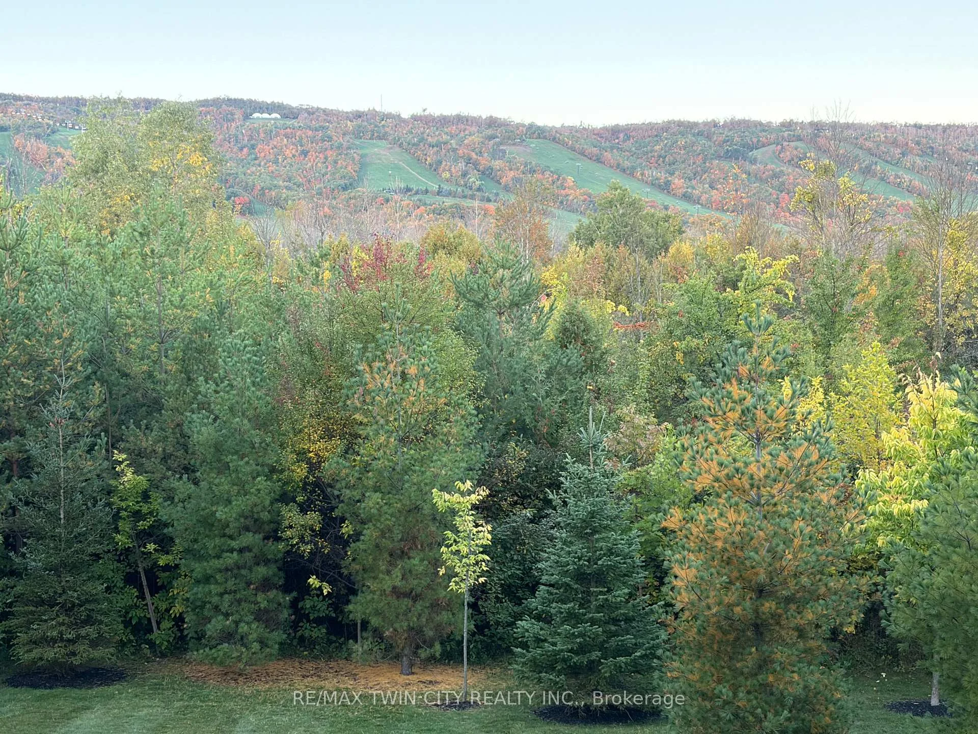 Photo 47 of Unit 206, 12 Beausoleil Lane, Blue Mountains — HOMEH