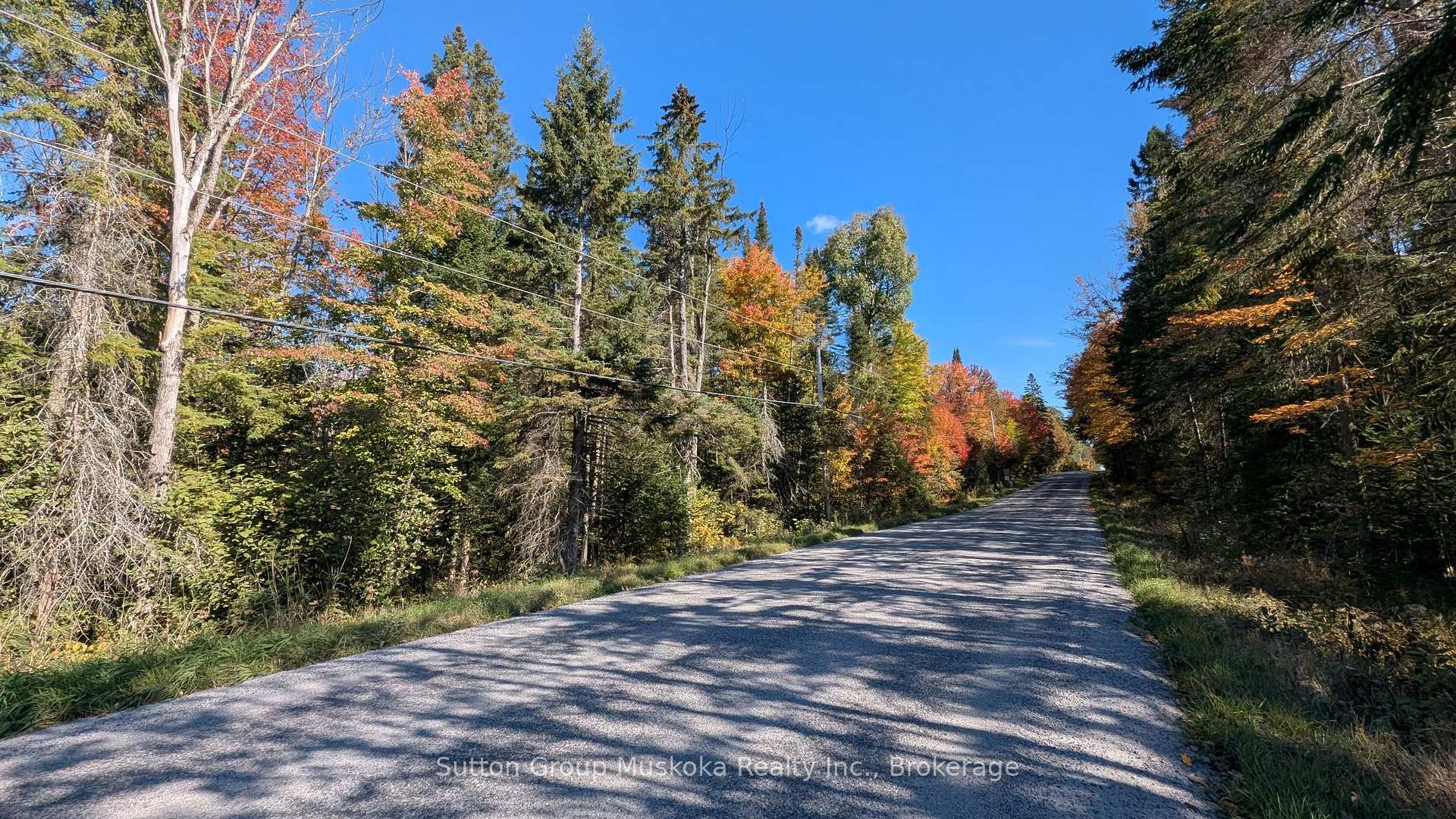 Photo of 1054 Savage Settlement Road