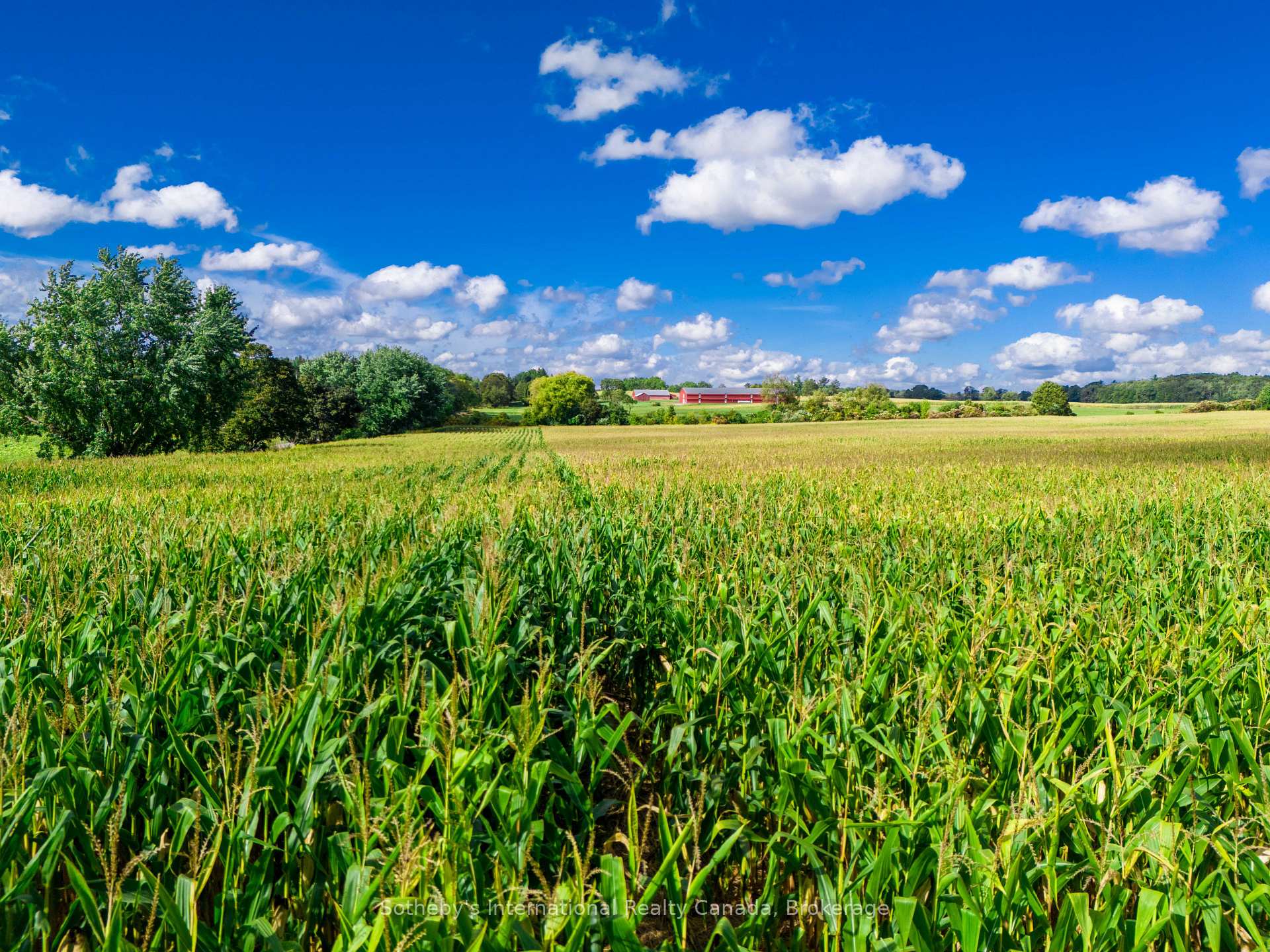 Photo 18 of 1530A Greenfield Road, North Dumfries — HOMEH