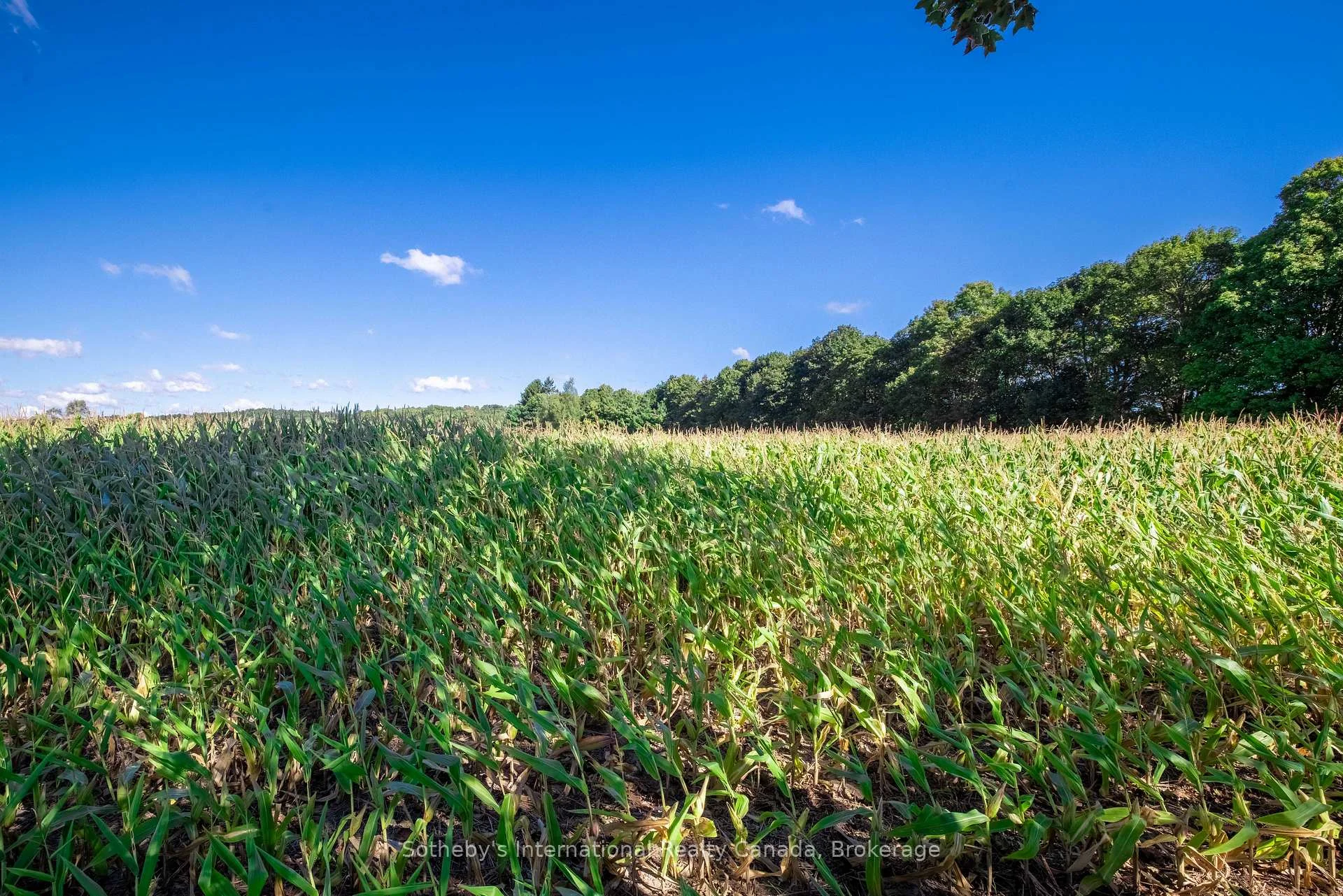 Photo 7 of 1530A Greenfield Road, North Dumfries — HOMEH