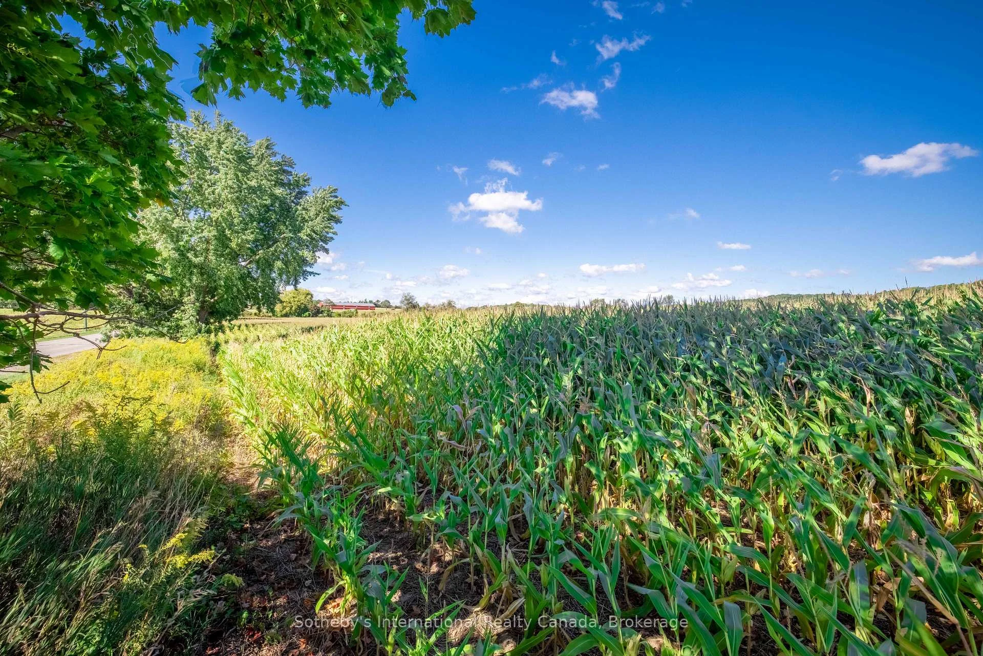 Photo 9 of 1530A Greenfield Road, North Dumfries — HOMEH