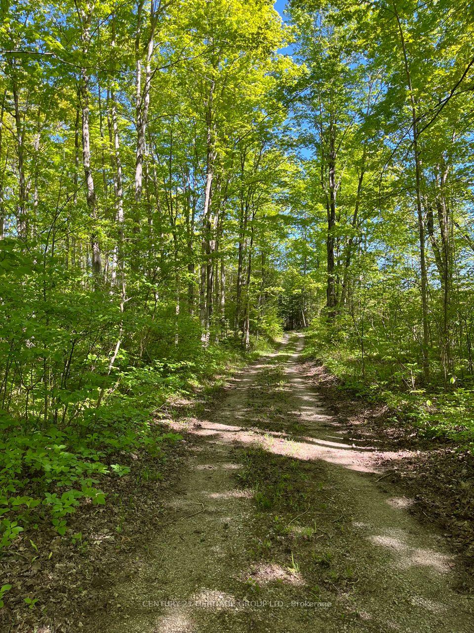 Photo 3 of 580223 Sideroad 60, Chatsworth — HOMEH