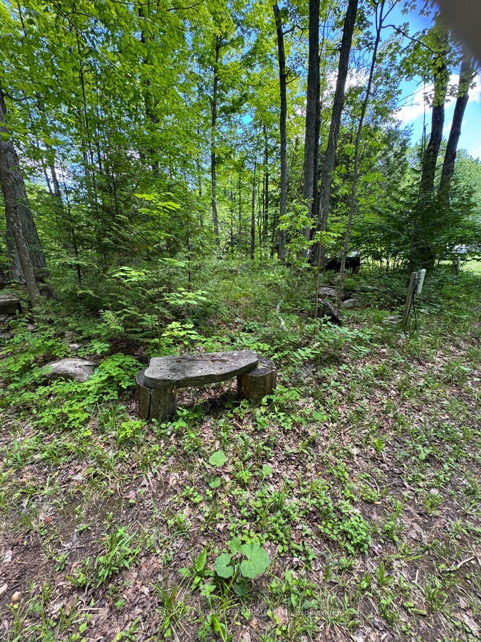 Photo 4 of 580223 Sideroad 60, Chatsworth — HOMEH