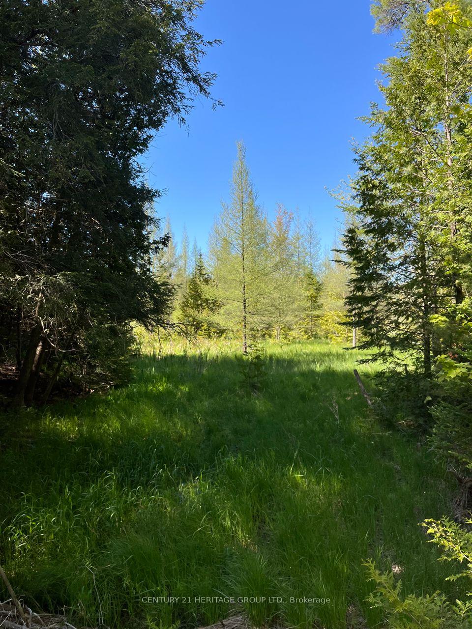 Photo 6 of 580223 Sideroad 60, Chatsworth — HOMEH