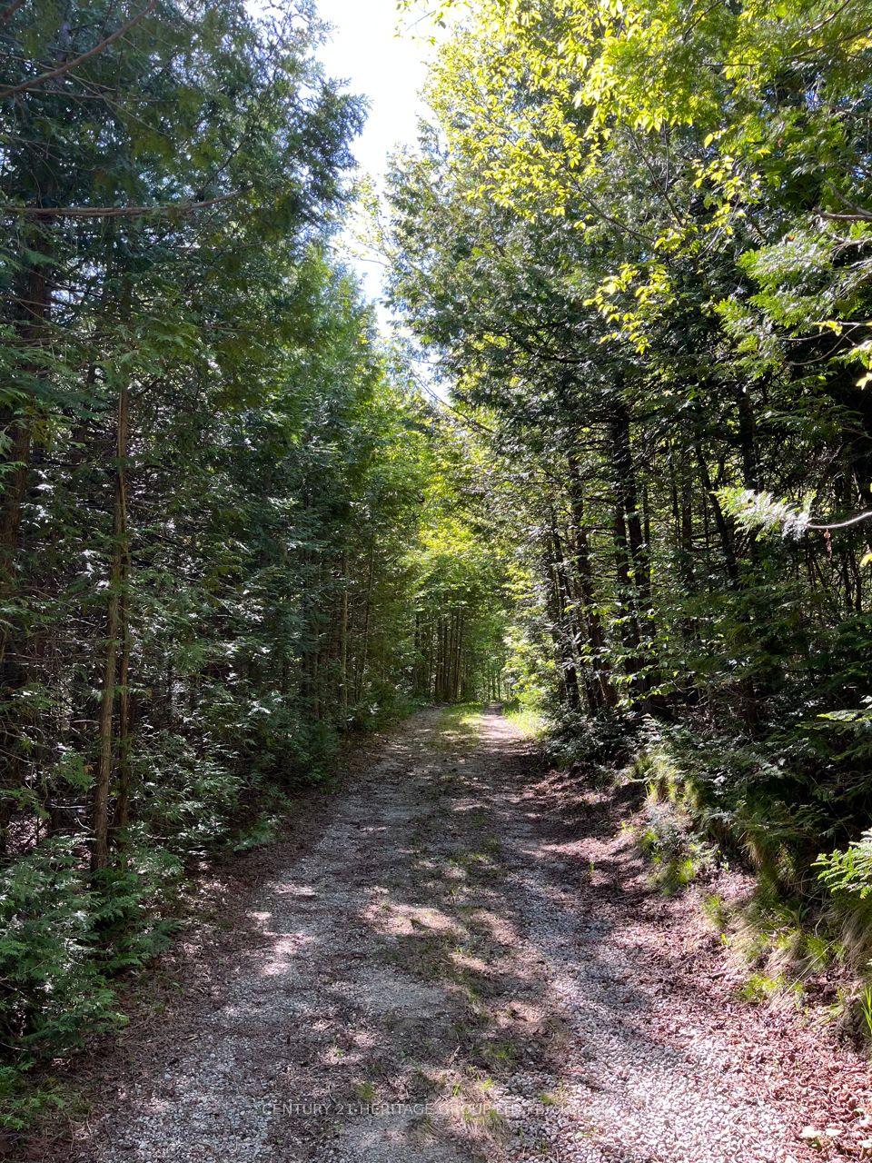 Photo 7 of 580223 Sideroad 60, Chatsworth — HOMEH