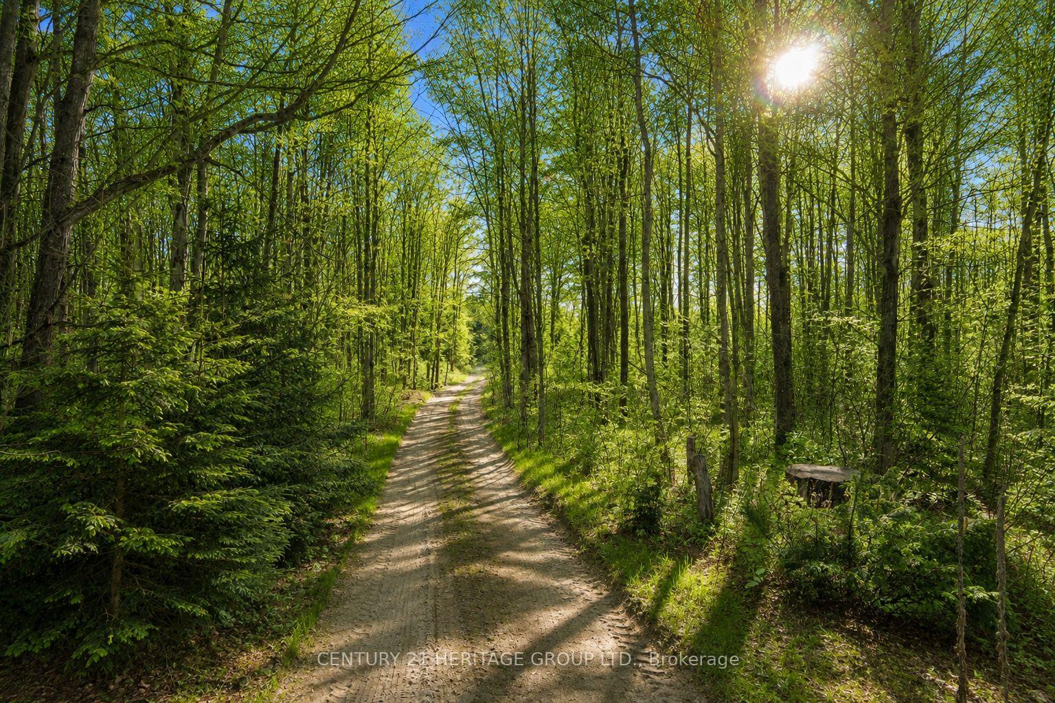Photo 12 of 580223 Sideroad 60, Chatsworth — HOMEH
