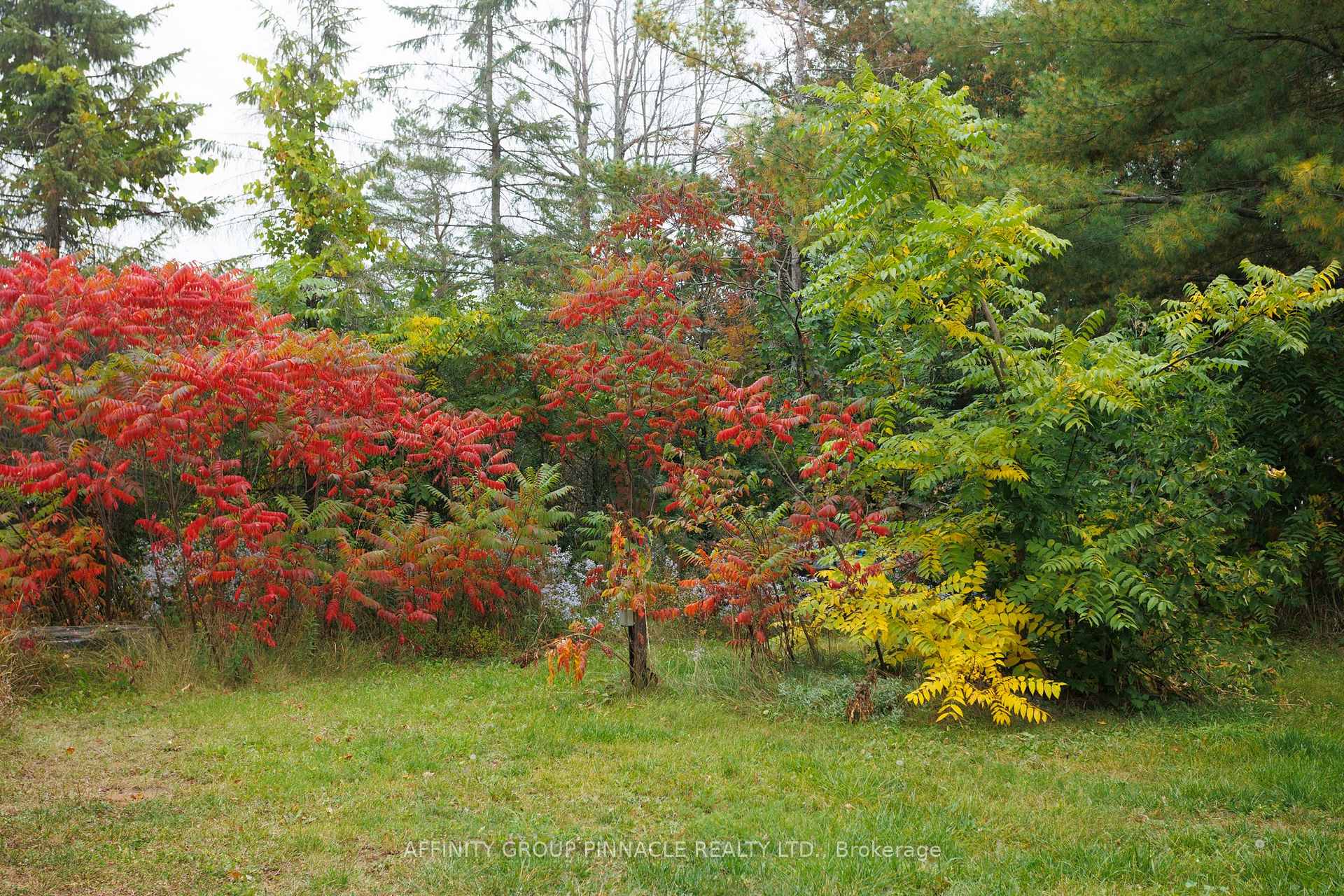 Photo 25 of 24 Oakwood Drive, Kawartha Lakes, Verulam — HOMEH