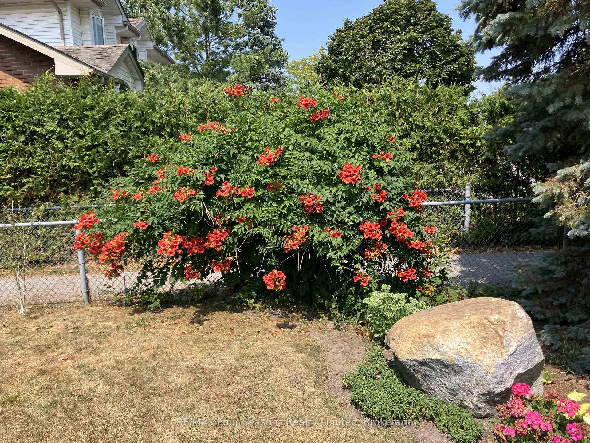 Photo 9 of 16 Carmichael Crescent, Collingwood — HOMEH