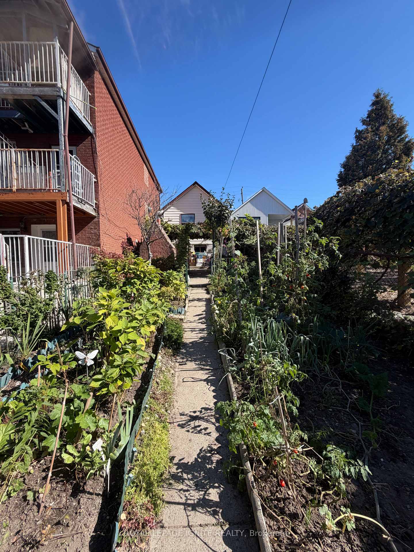 Photo 4 of 40 Avon Avenue, Toronto, Rockcliffe-Smythe — HOMEH