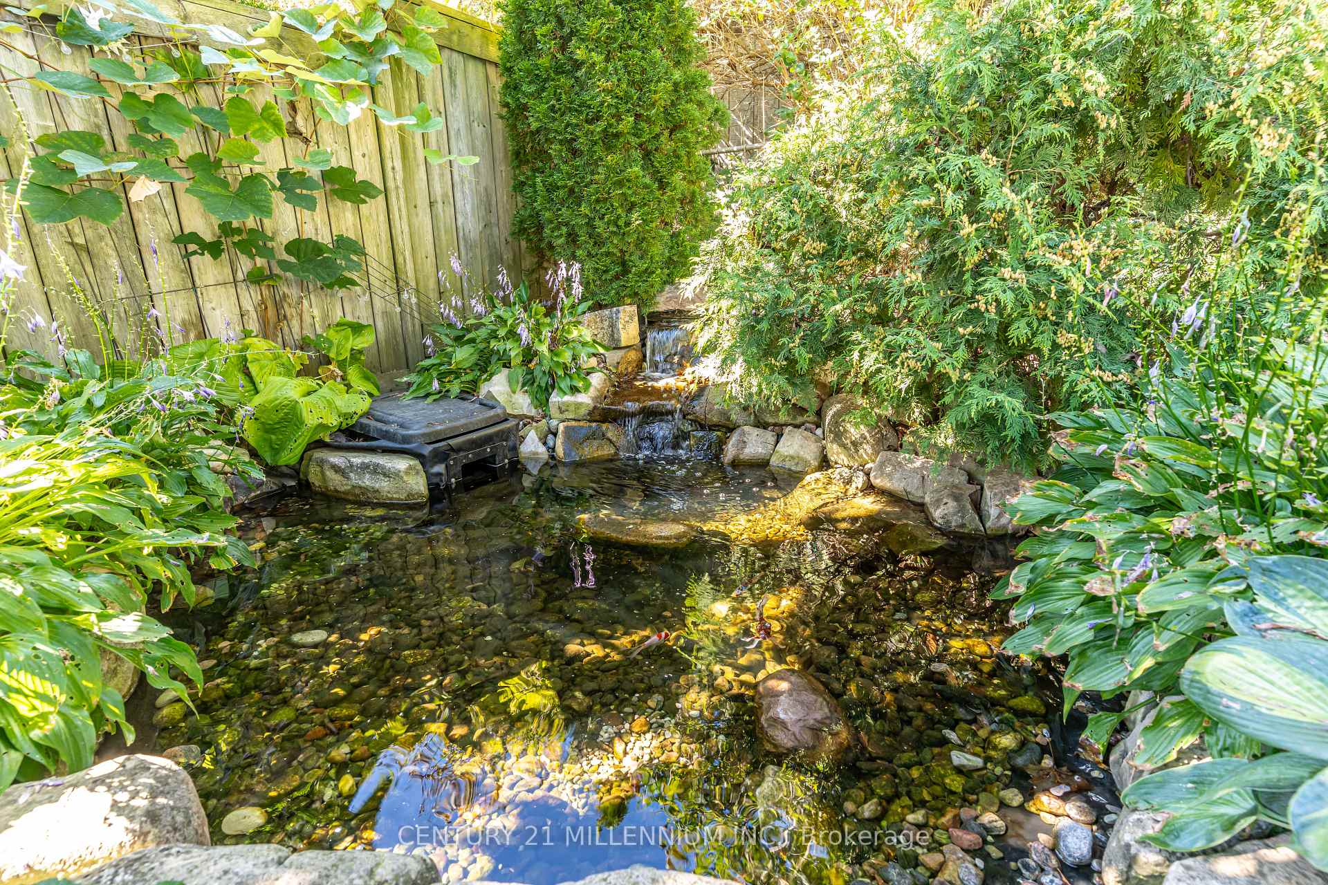 Photo 39 of 126 Elgin Drive, Brampton, Brampton South — HOMEH