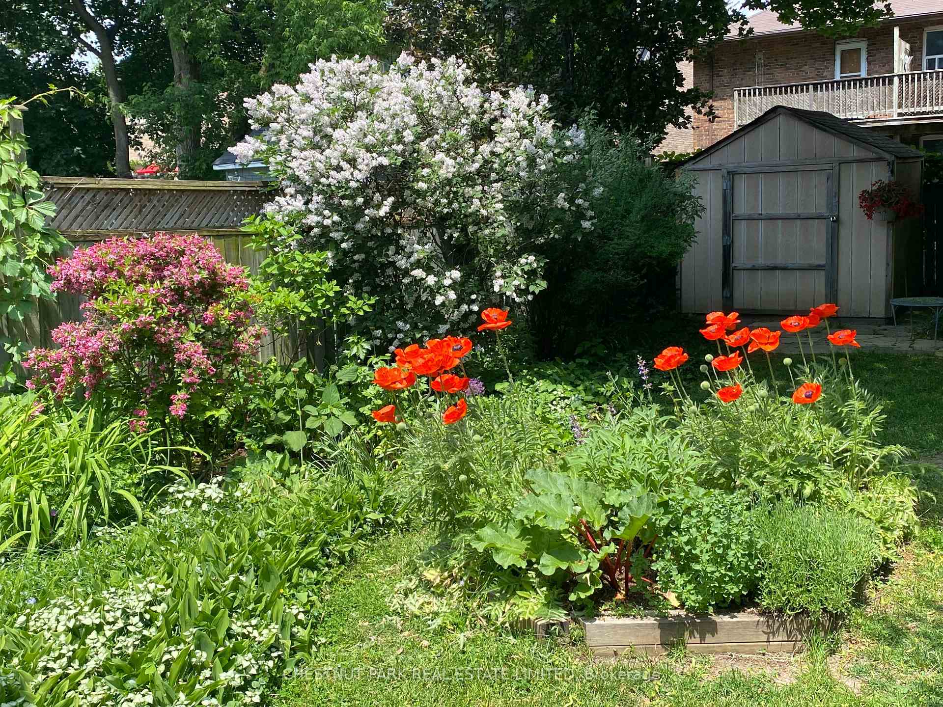 Photo 41 of 42 Bowood Avenue, Toronto, Lawrence Park North — HOMEH