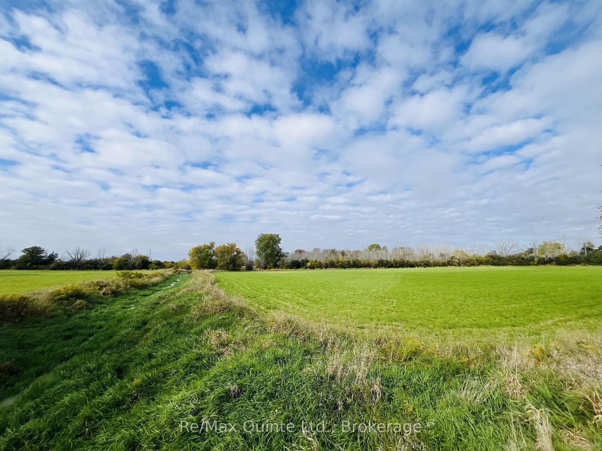 Photo 2 of Forsythe Road, Belleville, Thurlow Ward — HOMEH