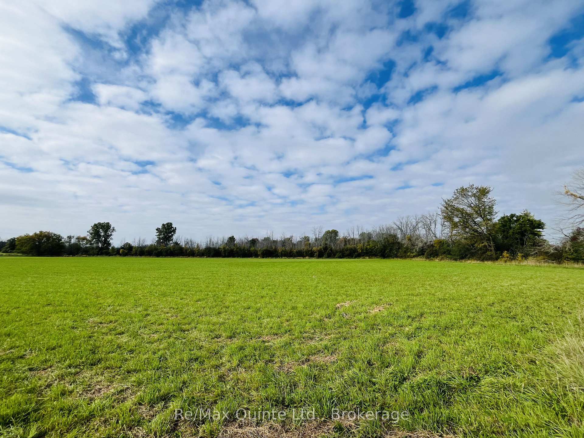 Photo 3 of Forsythe Road, Belleville, Thurlow Ward — HOMEH