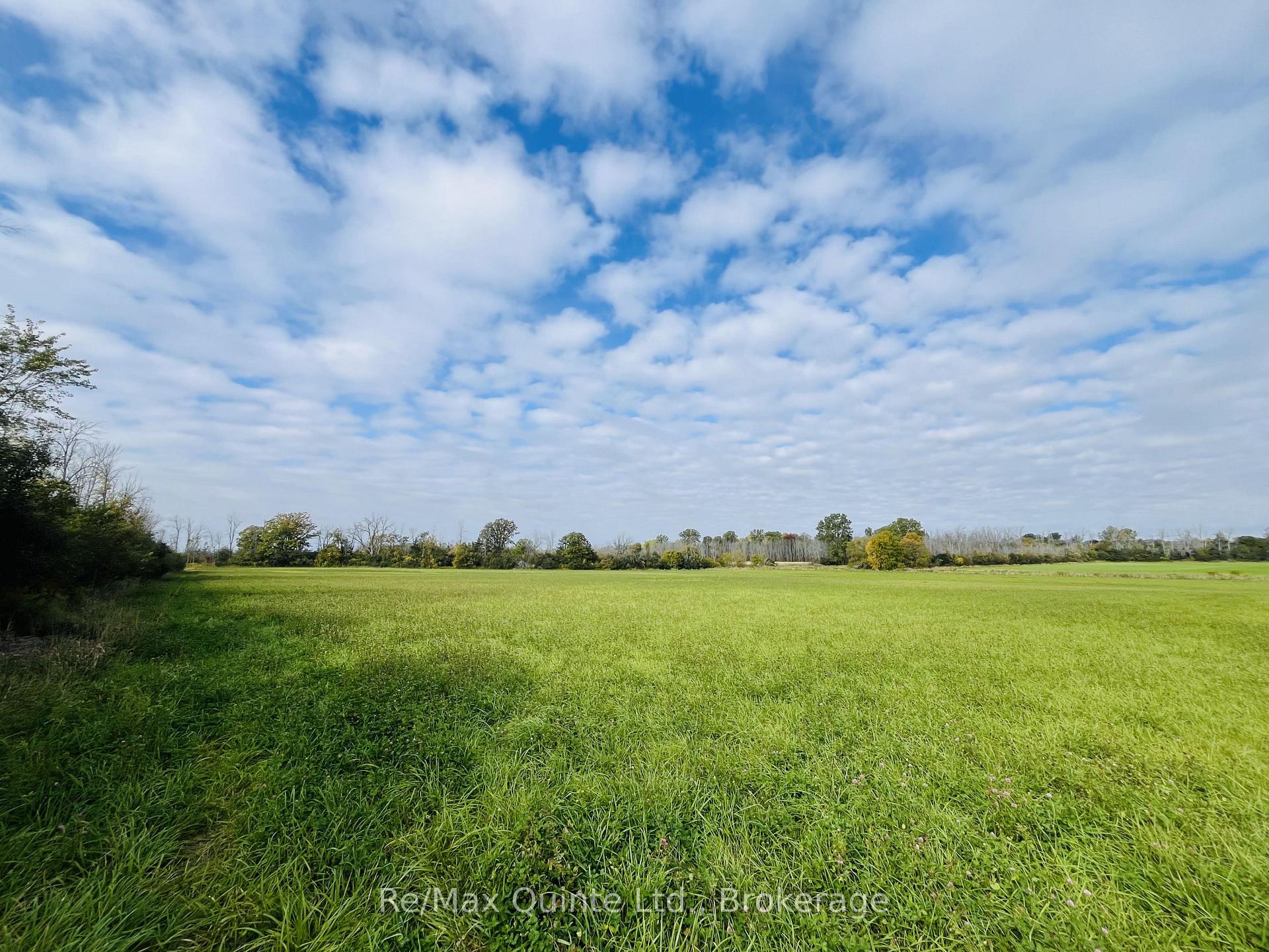 Photo 5 of Forsythe Road, Belleville, Thurlow Ward — HOMEH