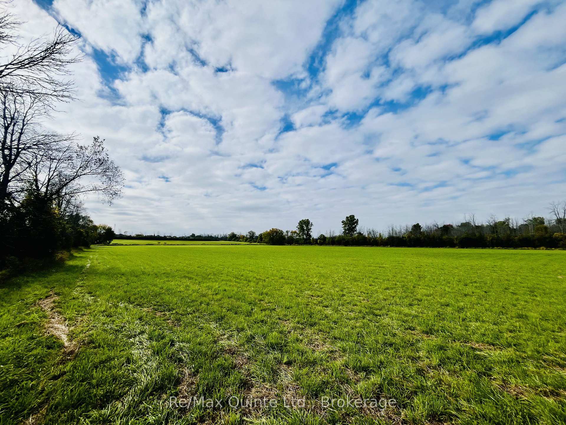 Photo 6 of Forsythe Road, Belleville, Thurlow Ward — HOMEH