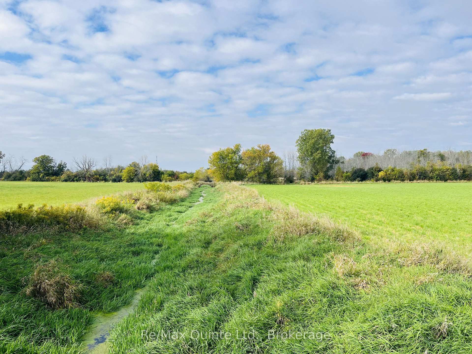 Photo 7 of Forsythe Road, Belleville, Thurlow Ward — HOMEH