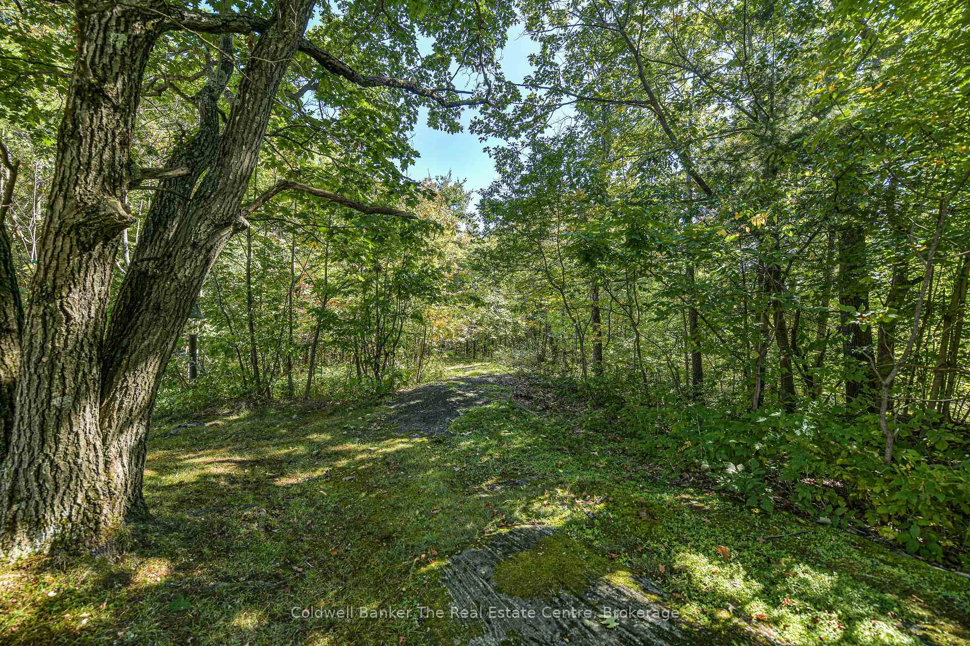 Photo 37 of 115 Jones Road, Gravenhurst, Muskoka (S) — HOMEH